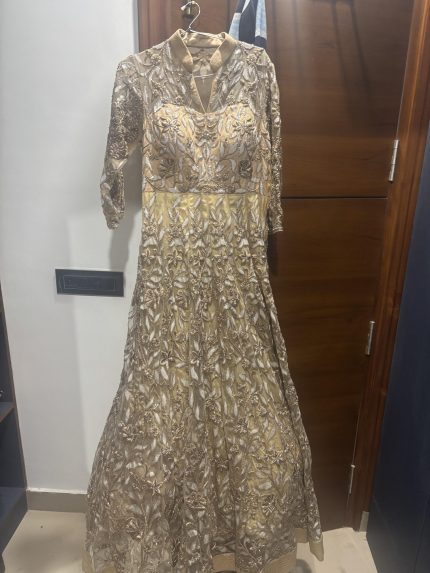Elegant Anarkali Style Gown